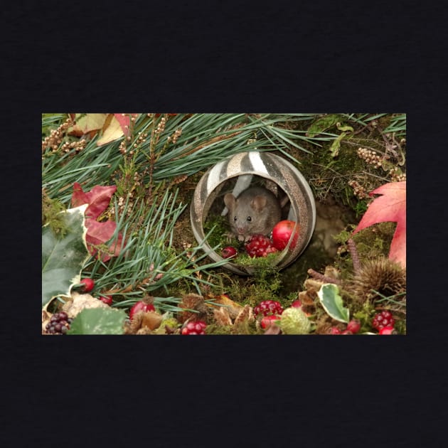 Christmouse - festive wild mouse by Simon-dell